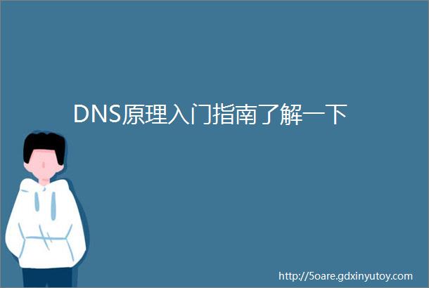 DNS原理入门指南了解一下